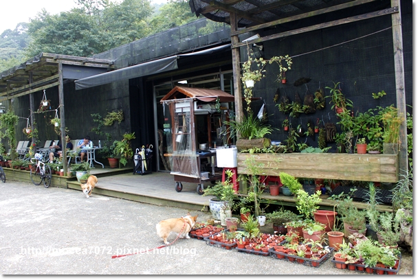 IMG_3764.JPG IMG_3764.JPG