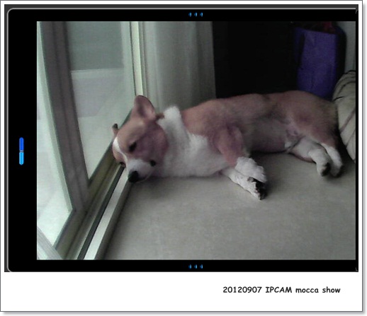 IPCAM0907-001 IPCAM0907-001