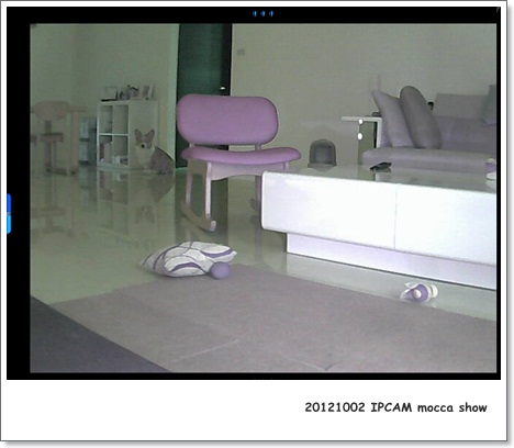 IPCAM1002-001
