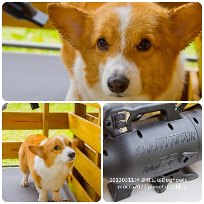 20130311-0006 20130311-0006