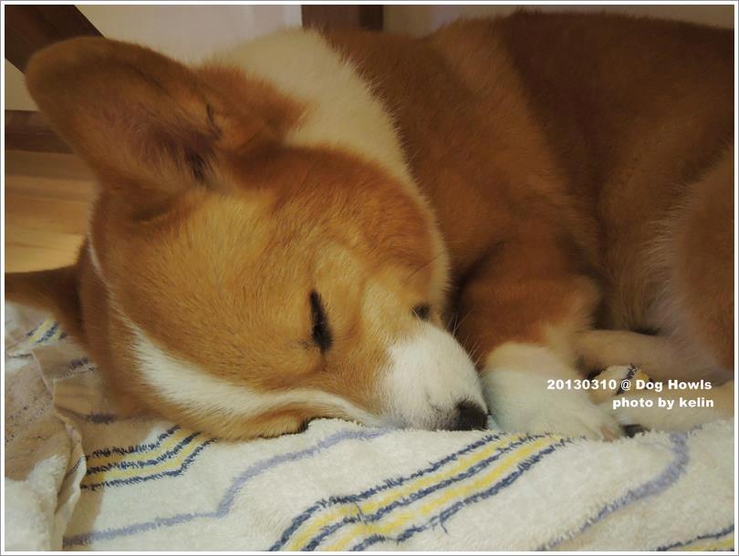 5725_4744663851926_1849216641_n 5725_4744663851926_1849216641_n