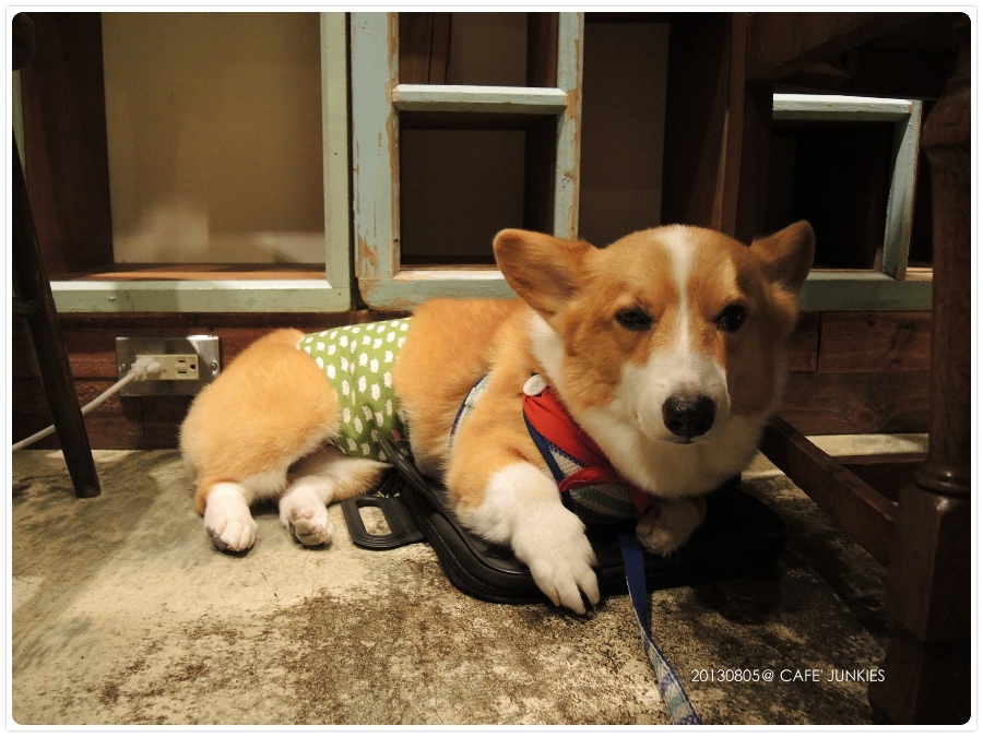 20130805-0001.jpg 20130805-0001.jpg