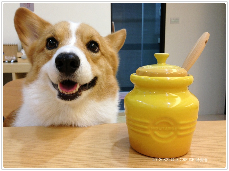 20130822-002.jpg 20130822-002.jpg