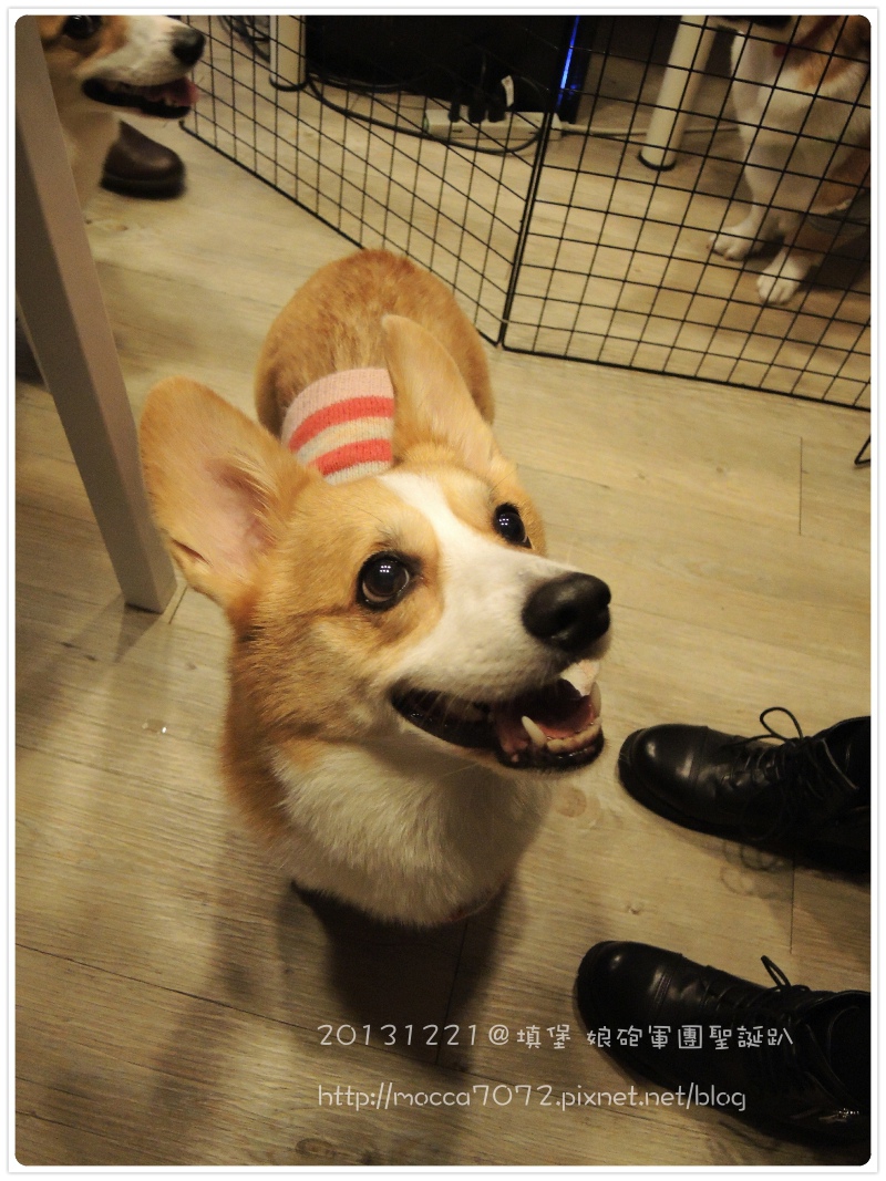 20131221-0017.jpg 20131221-0017.jpg