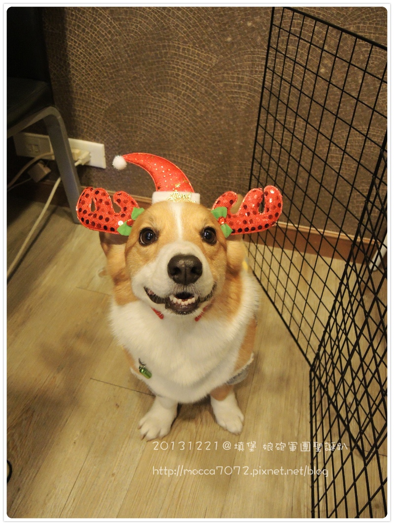 20131221-0018.jpg 20131221-0018.jpg