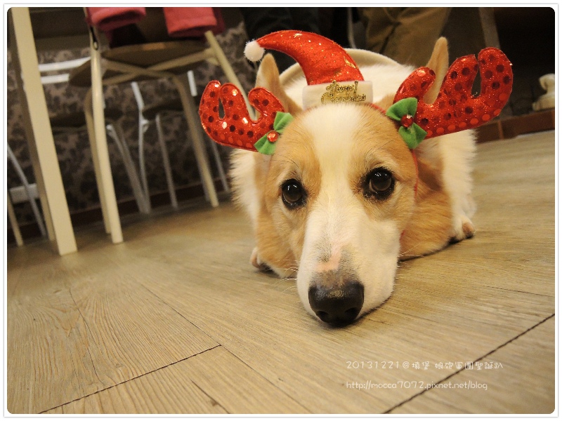 20131221-0022.jpg 20131221-0022.jpg