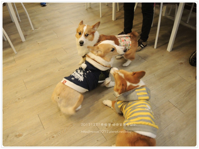 20131221-0024.jpg 20131221-0024.jpg