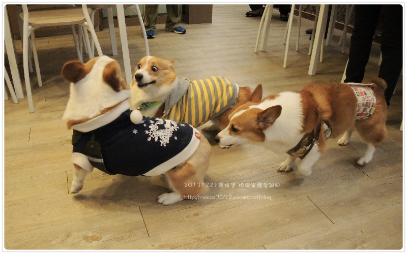 20131221－0025.jpg