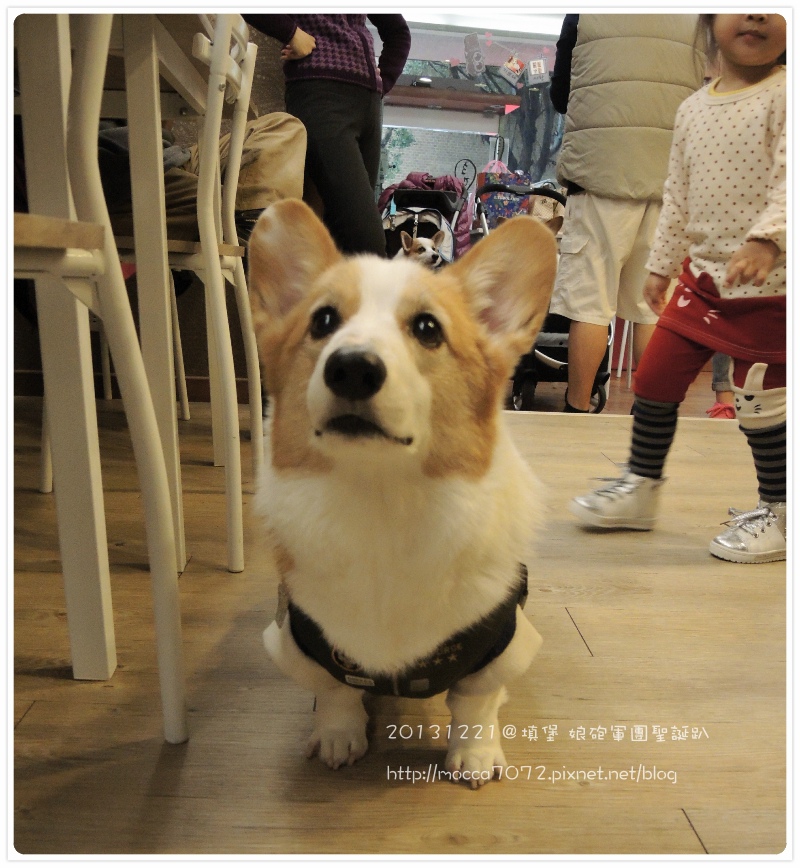 20131221-0032.jpg 20131221-0032.jpg