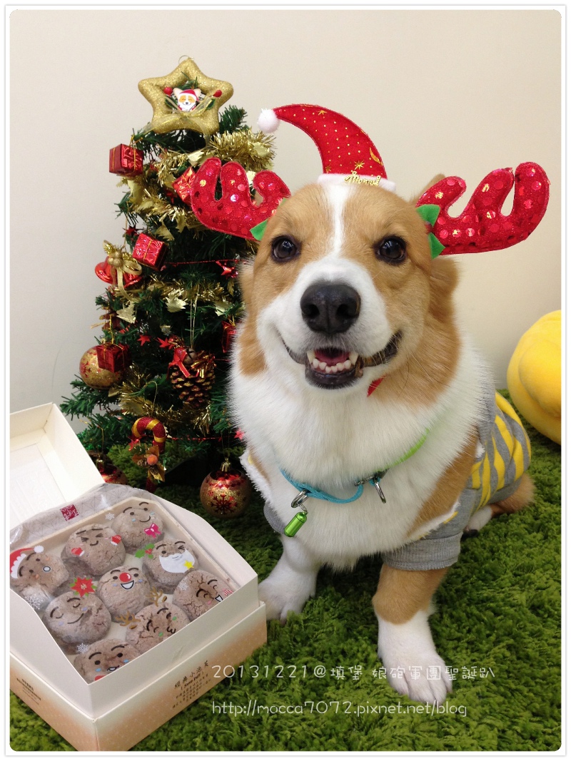 20131221-0054.jpg 20131221-0054.jpg