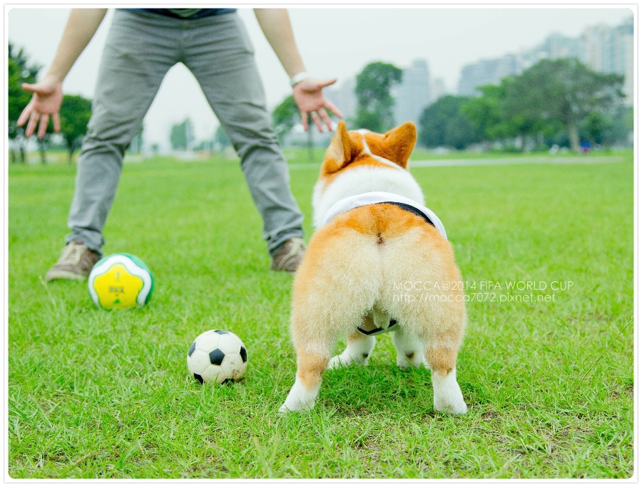 20140611-00058 20140611-00058