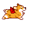flycorgi.gif