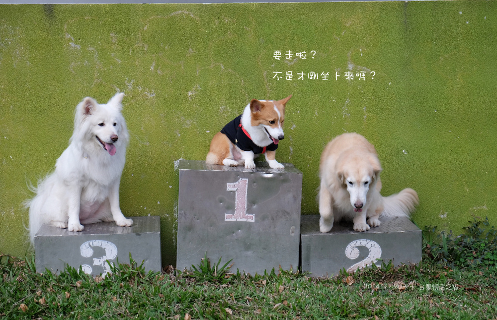 20141228－00017拷貝