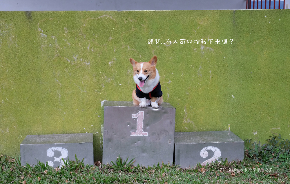 20141228－00018拷貝