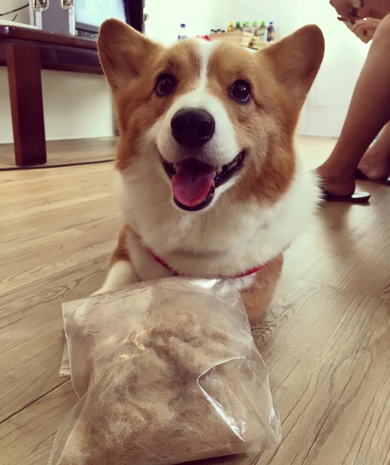 14051683_1279664362046430_7130885659443337837_n 14051683_1279664362046430_7130885659443337837_n