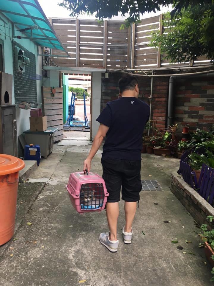 21151645_1689224394423756_1763536904903905382_n