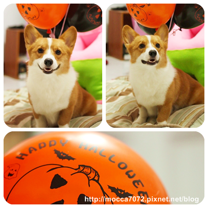 IMG_15483.png IMG_15483.png