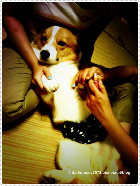 IMG_0787.jpg IMG_0787.jpg