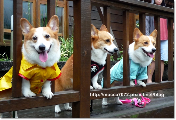 P1100692.JPG P1100692.JPG