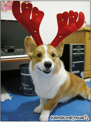 ikeabox 014.jpg ikeabox 014.jpg