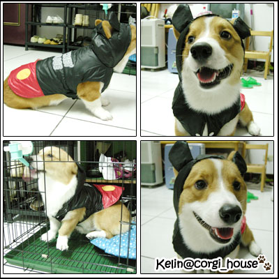 Gift-05.jpg Gift-05.jpg