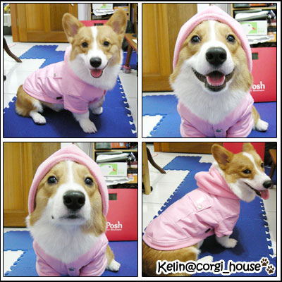 Gift-06.jpg Gift-06.jpg