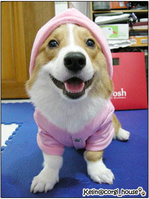 Gift-014.jpg Gift-014.jpg