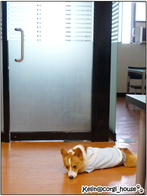 mocca_04.jpg mocca_04.jpg