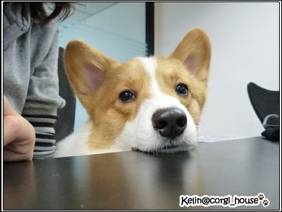 mocca_06.jpg mocca_06.jpg