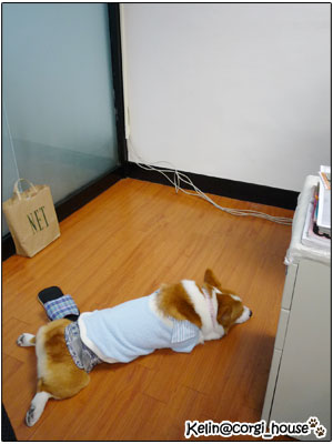 mocca_07.jpg mocca_07.jpg