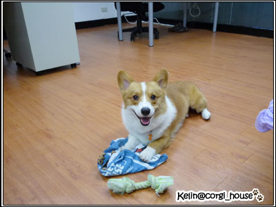 mocca_012.jpg mocca_012.jpg