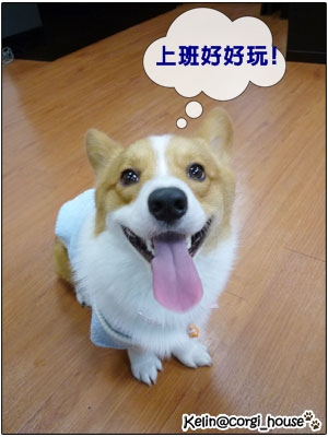 mocca_02.jpg mocca_02.jpg