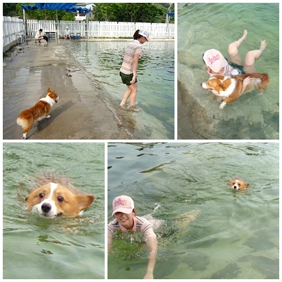 GGWW-12.jpg GGWW-12.jpg