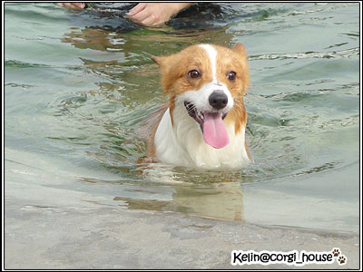 GGWW-14.jpg GGWW-14.jpg