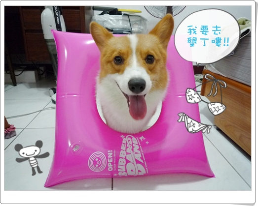 P1020673.JPG P1020673.JPG