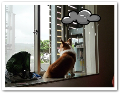 P1020836.JPG P1020836.JPG