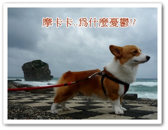 P1020854.JPG P1020854.JPG