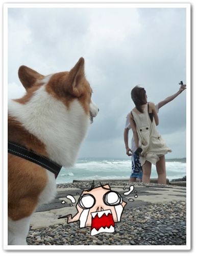 P1020856.JPG P1020856.JPG