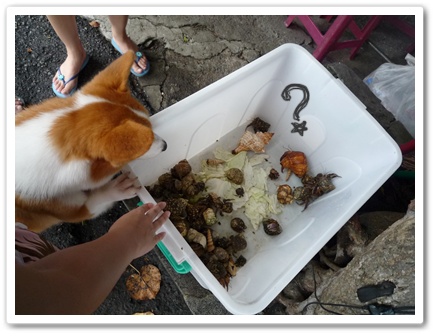 P1020904.JPG P1020904.JPG