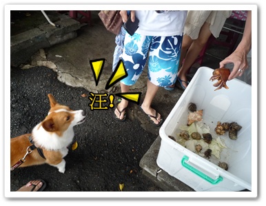 P1020907.JPG P1020907.JPG