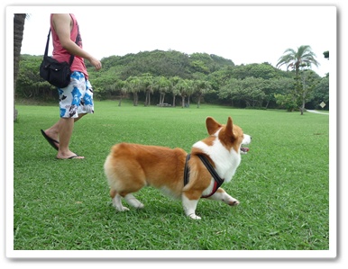 P1020916.JPG P1020916.JPG