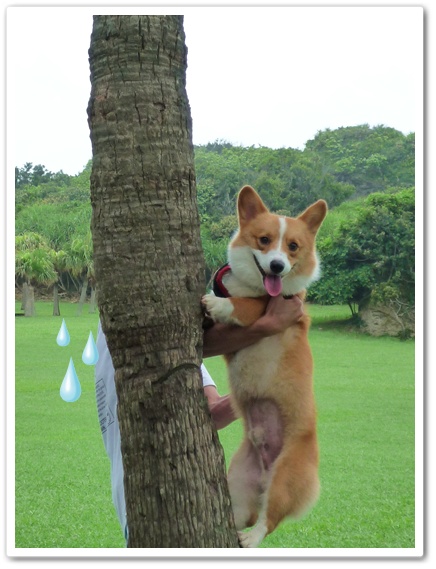 P1020934.JPG P1020934.JPG