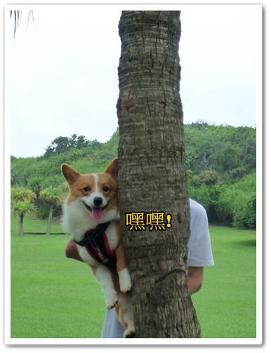 P1020939.JPG P1020939.JPG