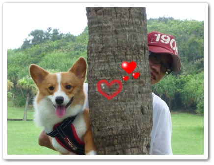 P1020943.JPG P1020943.JPG