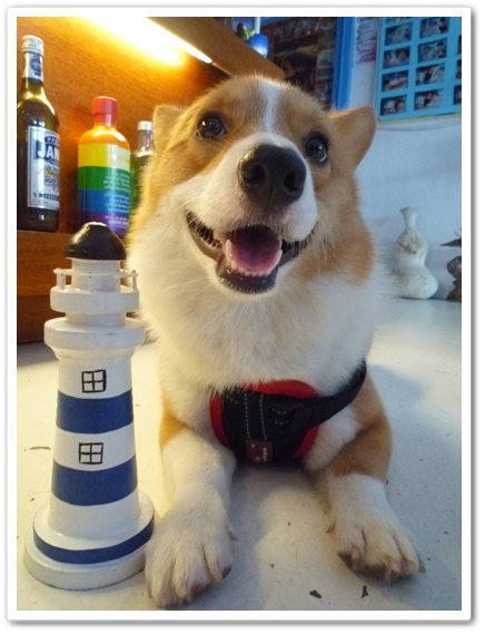 P1020995.JPG P1020995.JPG