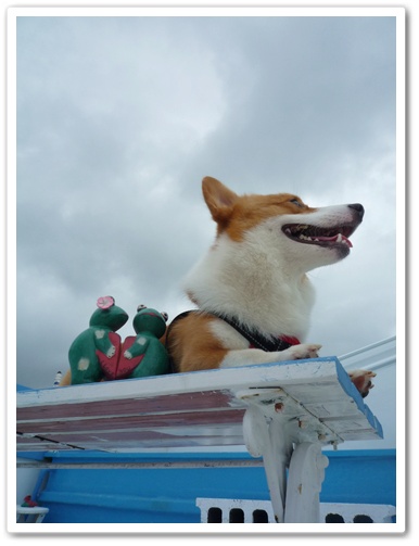 P1030003.JPG P1030003.JPG