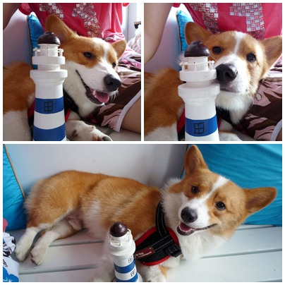 page-2.jpg page-2.jpg