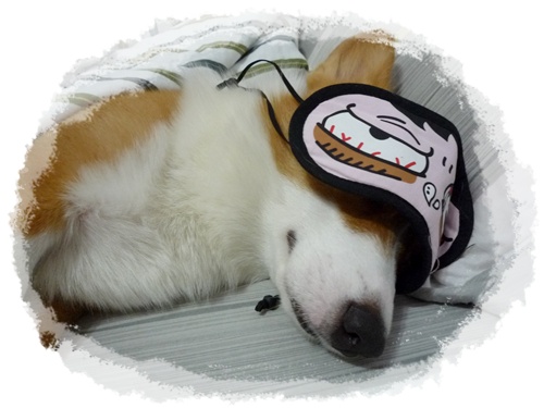 P1040204.JPG P1040204.JPG