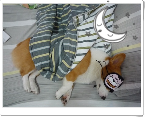 P1040203.JPG P1040203.JPG