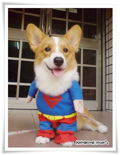 超人.jpg 超人.jpg